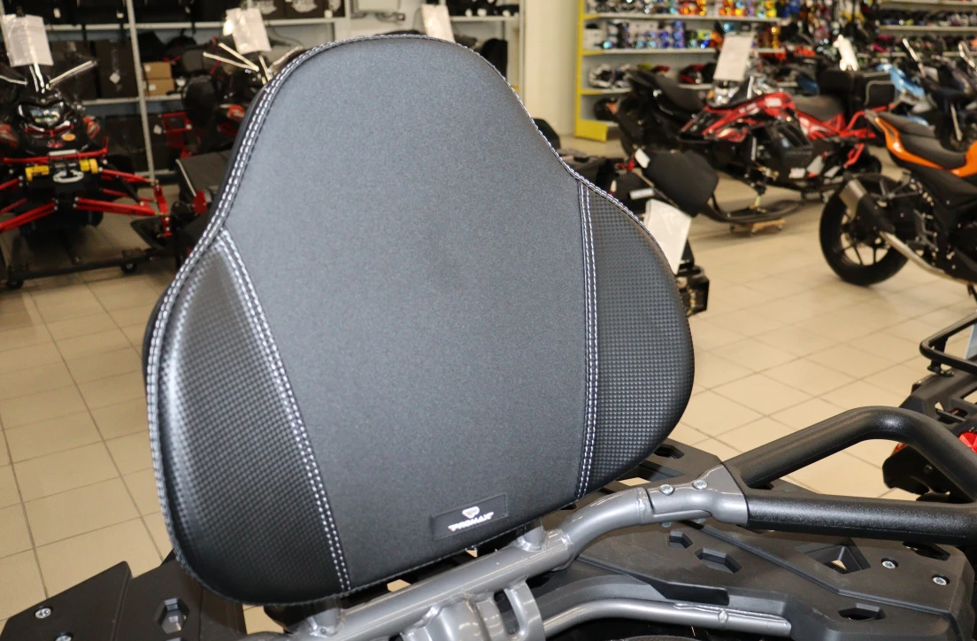 Квадроцикл PROMAX RENEGADE 300 LONG WINCH PRO (2025) в Нижнем Тагиле