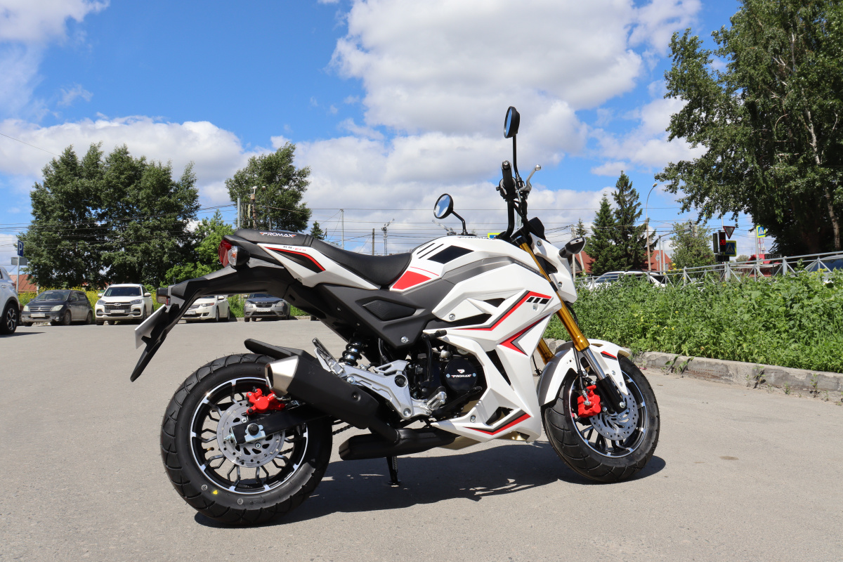 Мотоцикл PROMAX STRYKER 200(49) 2.0 в Нижнем Тагиле