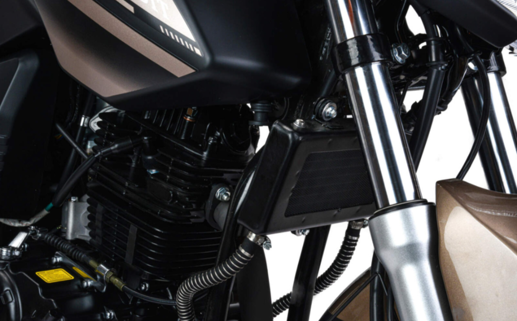 Мотоцикл MOTOLAND (МОТОЛЕНД) 300 BANDIT в Нижнем Тагиле