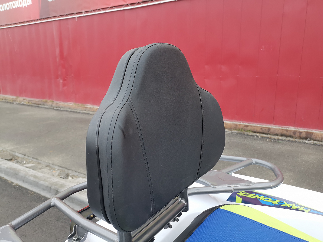 Квадроцикл PROMAX RENEGADE 280 LUX (2025) в Нижнем Тагиле