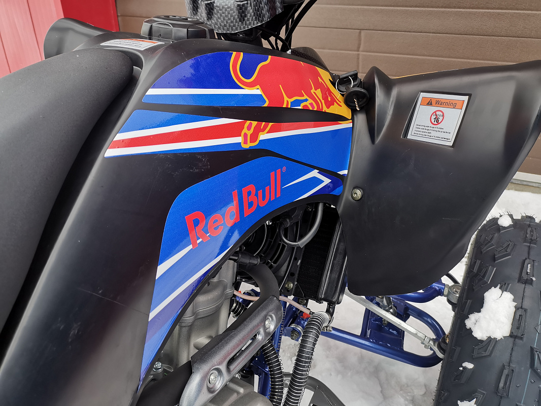 Квадроцикл PROMAX RAPTOR 300 NEW RedBull в Нижнем Тагиле
