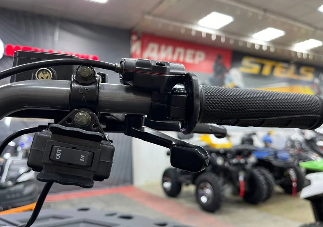 Квадроцикл PROMAX RENEGADE 300 LONG WINCH PRO (2025) в Нижнем Тагиле