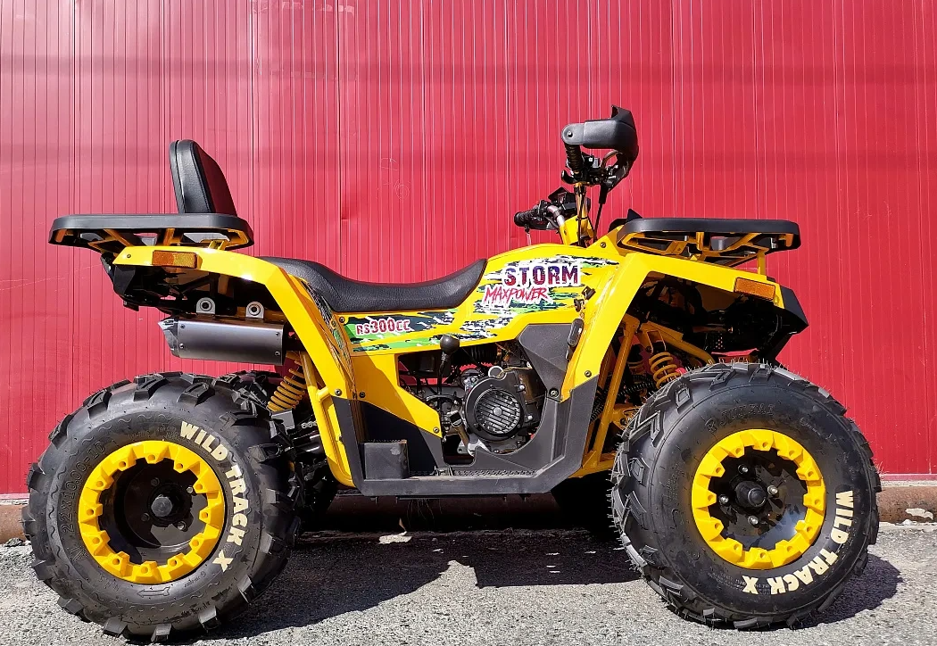 Квадроцикл PROMAX STORM 280 LUX в Нижнем Тагиле