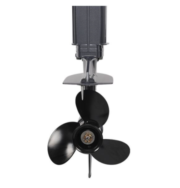 Лодочный мотор ALLFA CG Т40FW S в Нижнем Тагиле