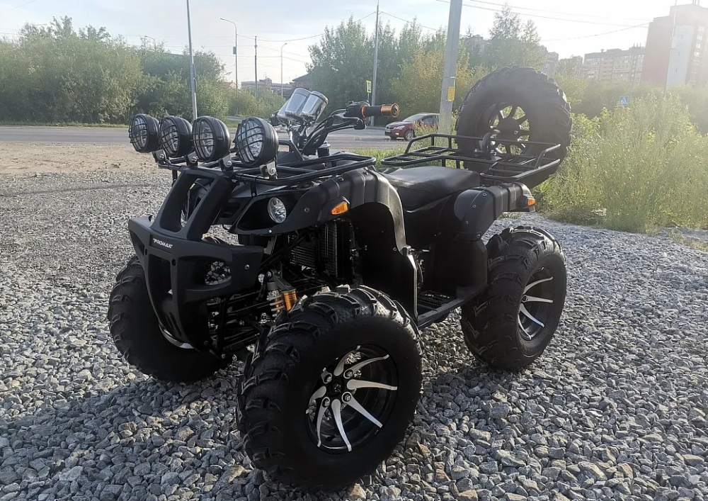 Квадроцикл PROMAX LEO 300 Max (кардан) в Нижнем Тагиле