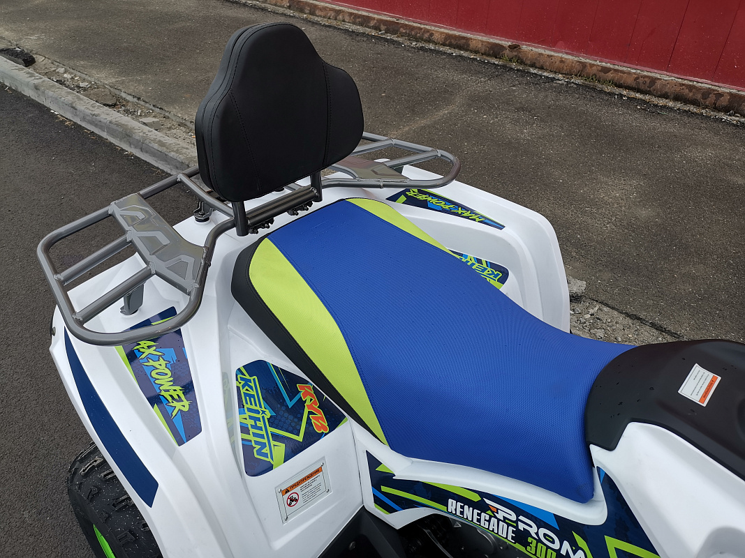 Квадроцикл PROMAX RENEGADE 280 LUX (2025) в Нижнем Тагиле