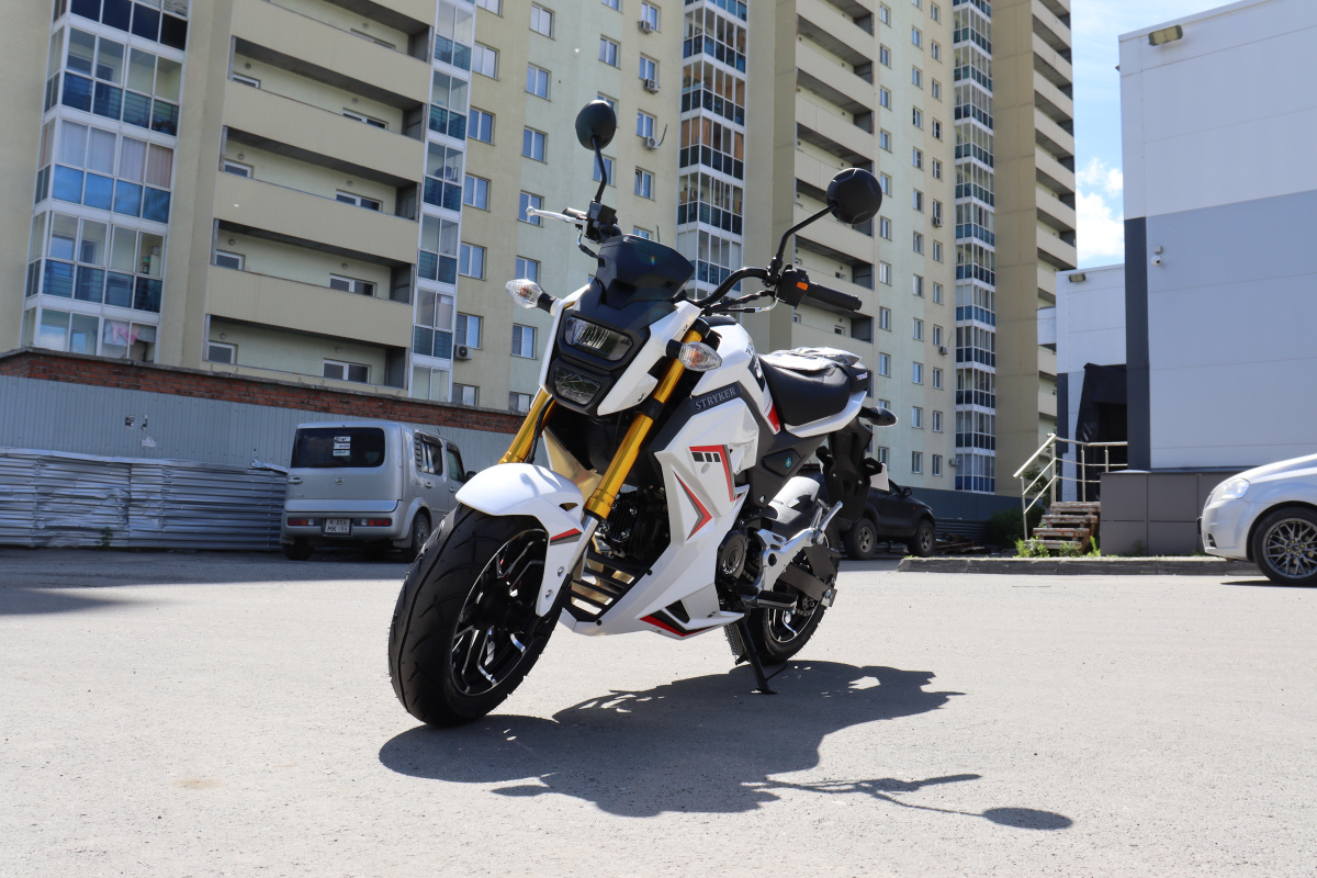 Мотоцикл PROMAX STRYKER 200(49) 2.0 в Нижнем Тагиле