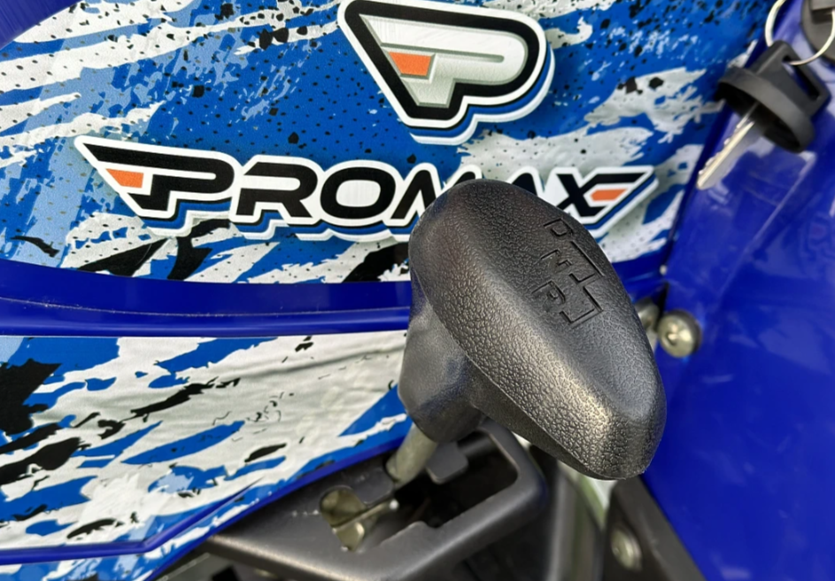  Квадроцикл PROMAX ATV 250 MAX (2025) в Нижнем Тагиле