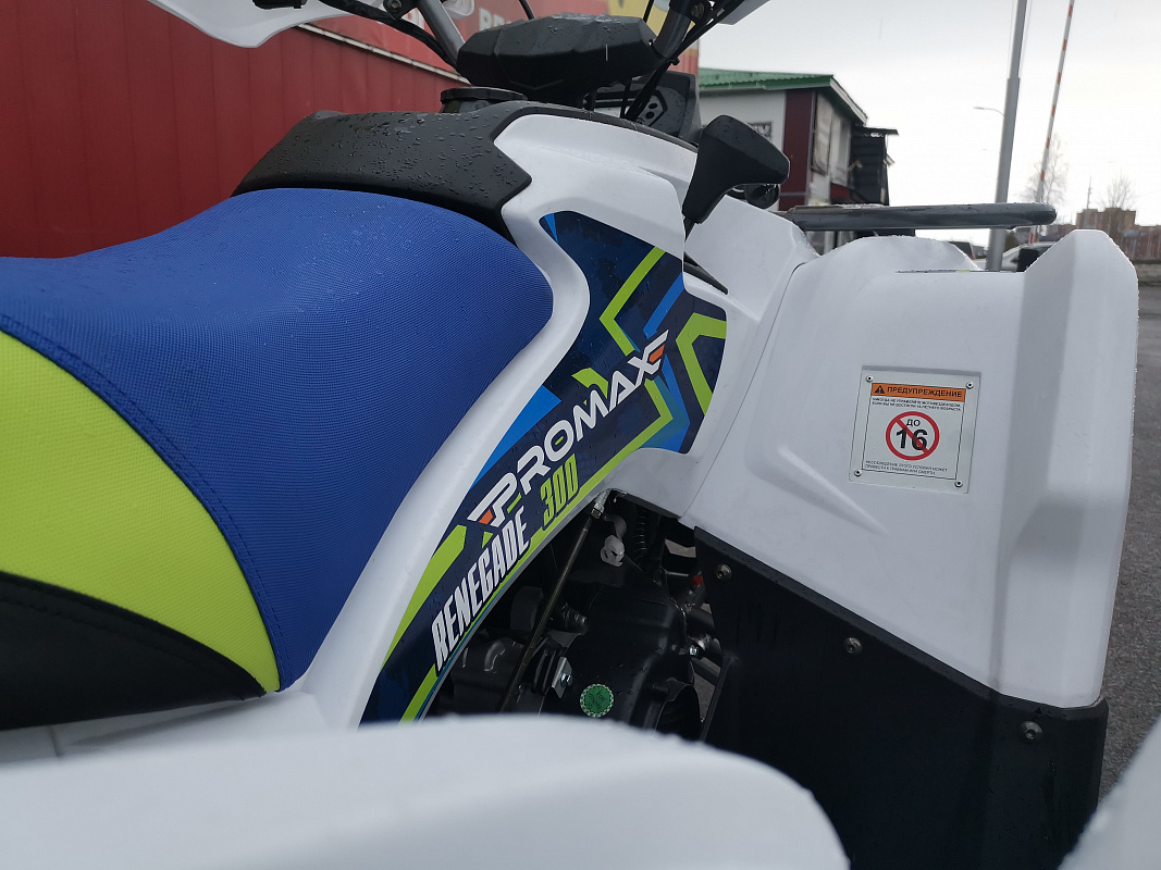 Квадроцикл PROMAX RENEGADE 280 LUX (2025) в Нижнем Тагиле