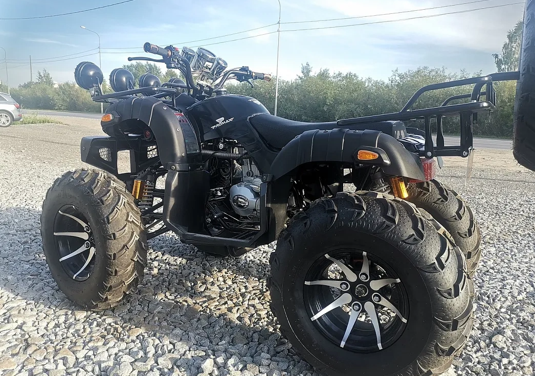 Квадроцикл PROMAX LEO 300 Max (кардан) в Нижнем Тагиле