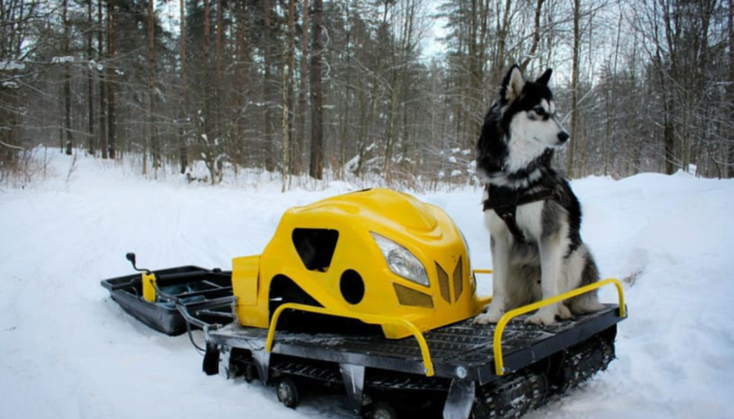 Мотобуксировщик LEBEDEV MOTORS ВОЛКОДАВ POWER V13 в Нижнем Тагиле
