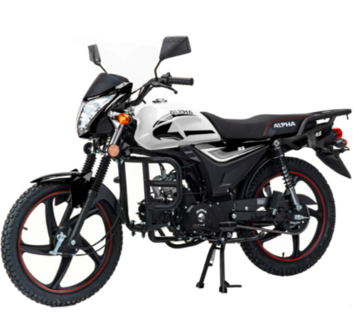 Мопед MOTOLAND (МОТОЛЕНД) Альфа RS 11 (LM48-B) в Нижнем Тагиле