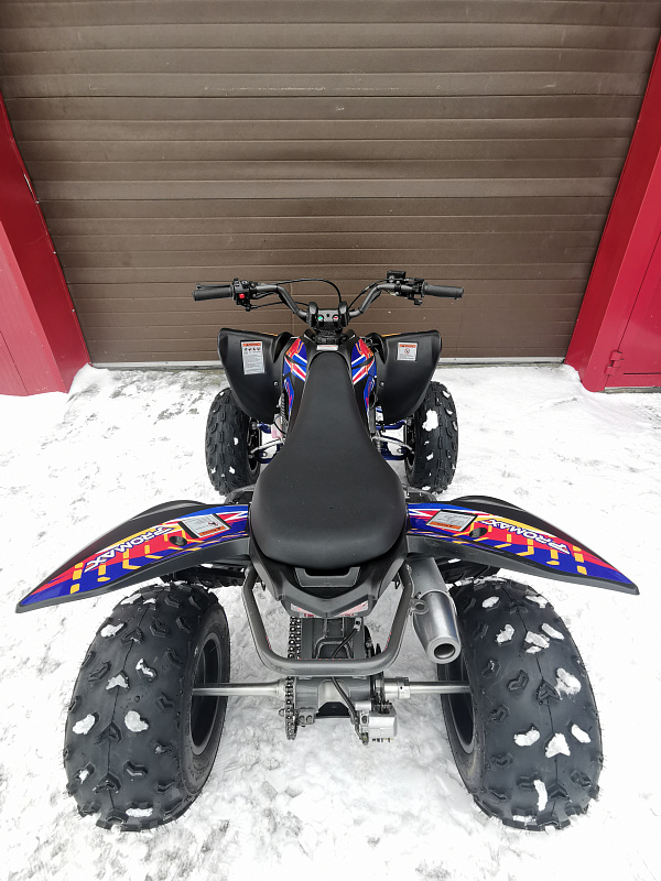 Квадроцикл PROMAX RAPTOR 300 NEW RedBull в Нижнем Тагиле