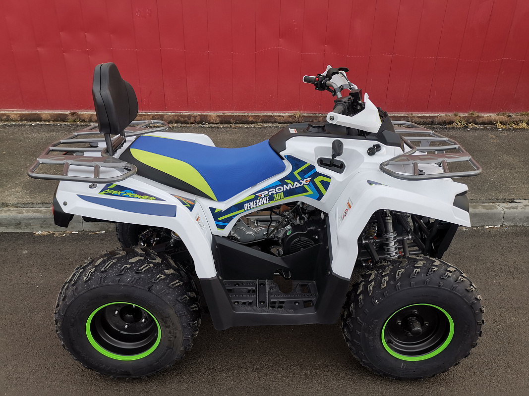 Квадроцикл PROMAX RENEGADE 280 LUX (2025) в Нижнем Тагиле