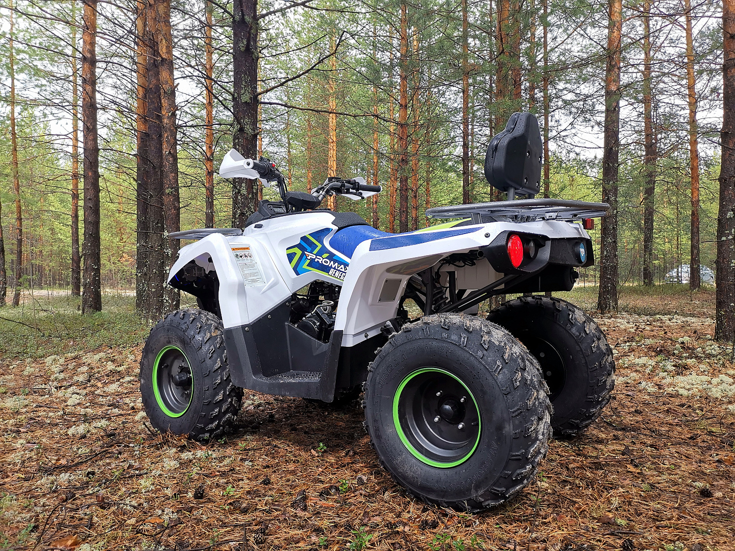 Квадроцикл PROMAX RENEGADE 280 (2025) в Нижнем Тагиле