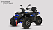 Квадроцикл PROMAX TAURUS 300 MAX-PRO LONG в Нижнем Тагиле