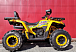 Квадроцикл PROMAX STORM 280 LUX в Нижнем Тагиле