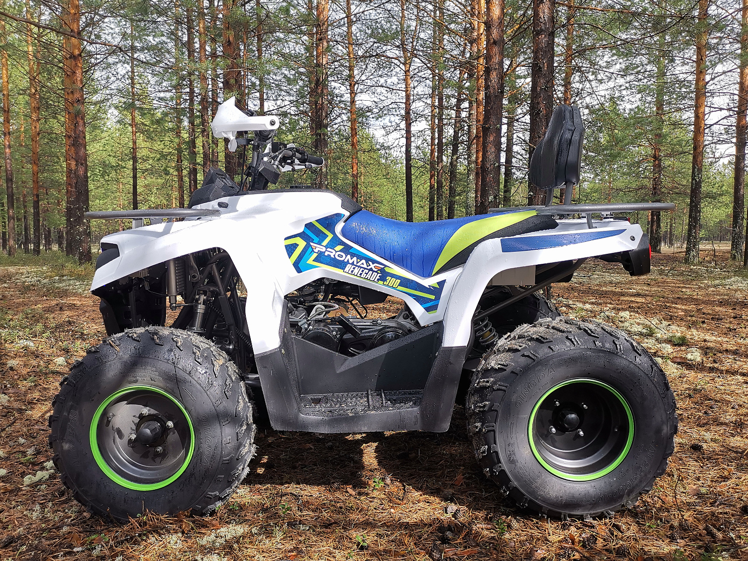 Квадроцикл PROMAX RENEGADE 280 (2025) в Нижнем Тагиле