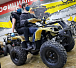 Квадроцикл PROMAX ATV 250 (2025) в Нижнем Тагиле