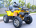 Квадроцикл MOTOLAND (МОТОЛЕНД) VOX200 WILD TRACK X PRO (баланс. вал) в Нижнем Тагиле