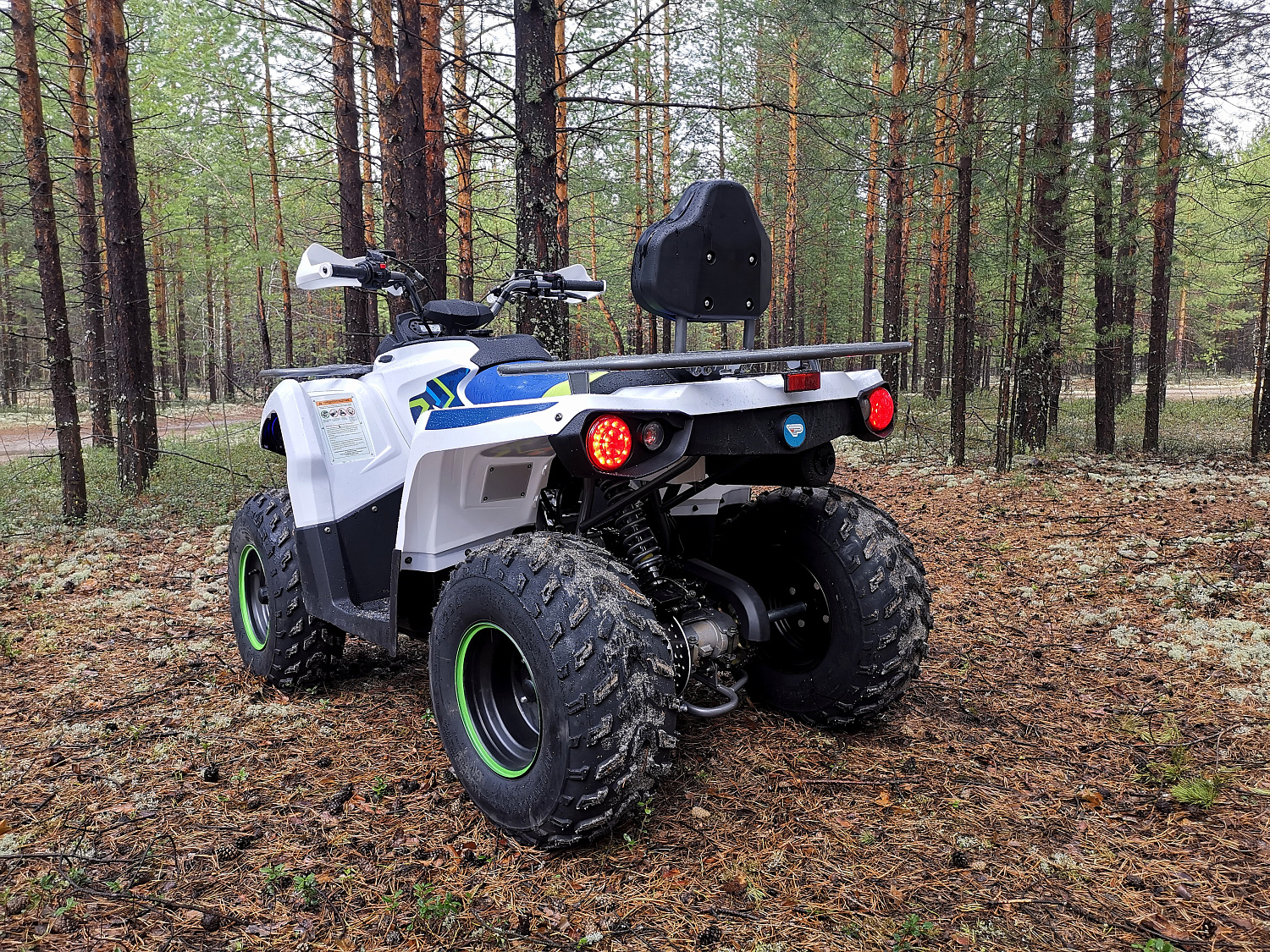 Квадроцикл PROMAX RENEGADE 280 (2025) в Нижнем Тагиле