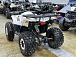 Квадроцикл PROMAX WILD 2.0 190 LUX в Нижнем Тагиле