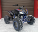 Квадроцикл PROMAX RAPTOR 300 NEW RedBull в Нижнем Тагиле