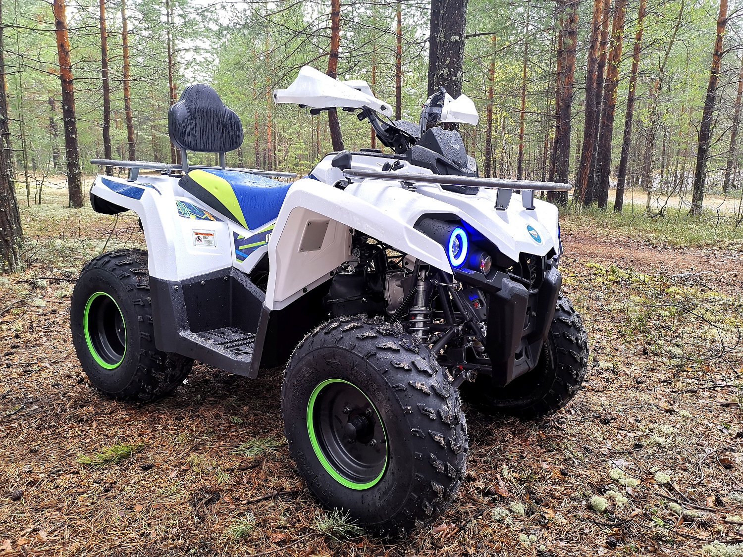 Квадроцикл PROMAX RENEGADE 280 (2025) в Нижнем Тагиле