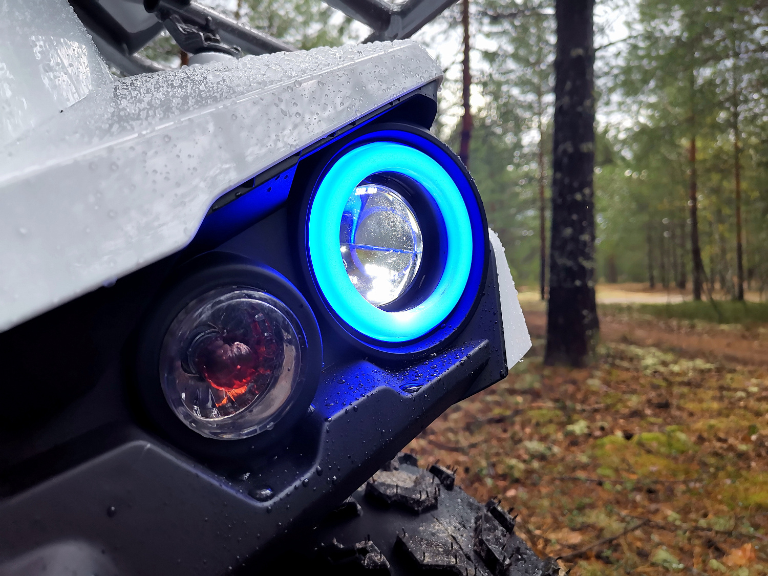 Квадроцикл PROMAX RENEGADE 280 (2025) в Нижнем Тагиле