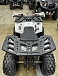 Квадроцикл PROMAX WILD 2.0 190 в Нижнем Тагиле