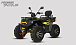 Квадроцикл PROMAX TAURUS 300 MAX-PRO LONG в Нижнем Тагиле